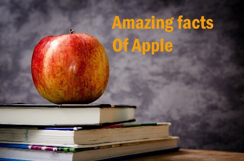 information about apple in hindi