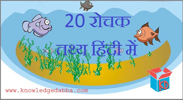 Information & Facts About Fish In Hindi