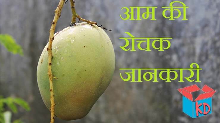 Information About Mango In Hindi