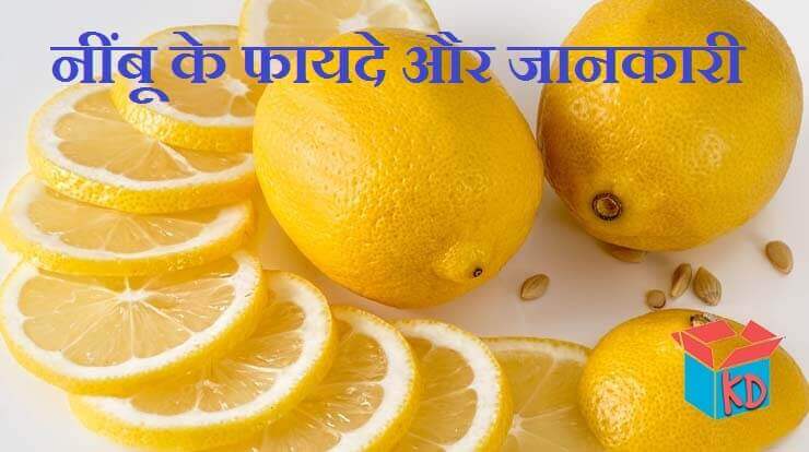 Lemon Fruit In Hindi