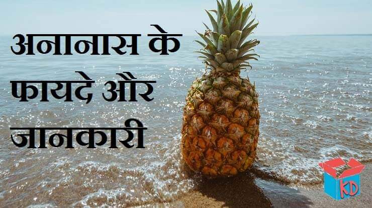 Pineapple Information In Hindi