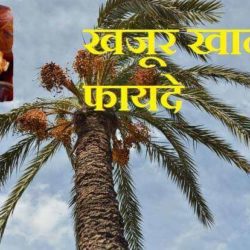 Benefits Of Dates In Hindi