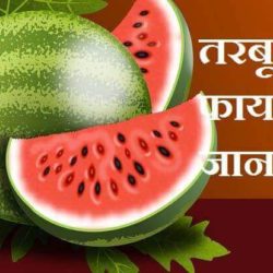 Benefits Of Watermelon In Hindi