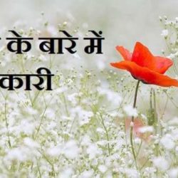 Information About Flowers In Hindi