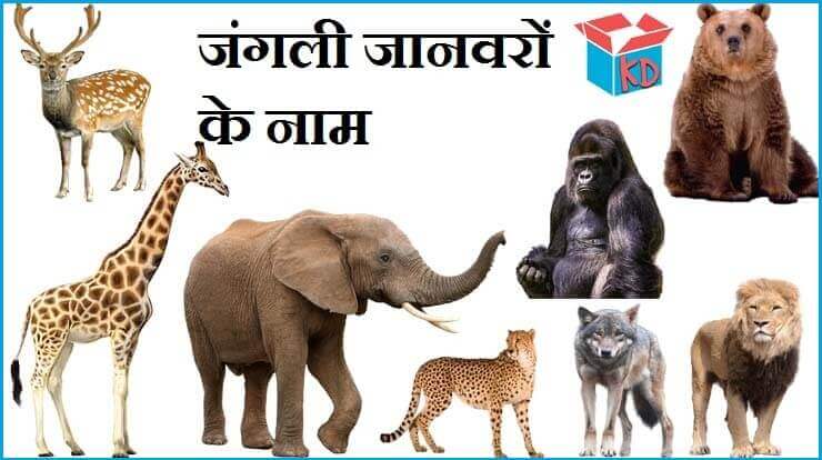 जंगली जानवरों के नाम | Name Of Wild Animals In Hindi