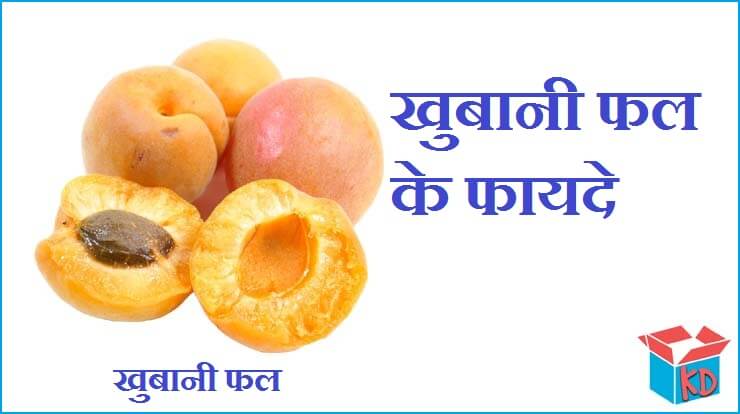 Apricot Fruit In Hindi