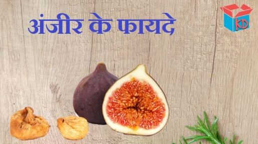 Fig Fruit In Hindi