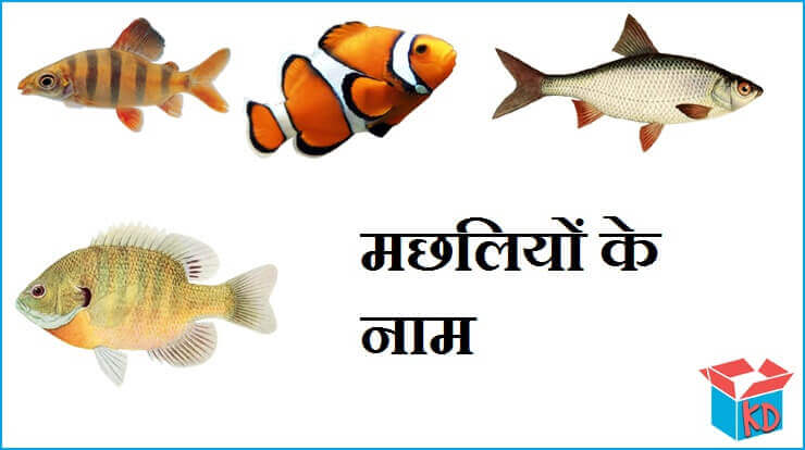 Fish Names In Hindi