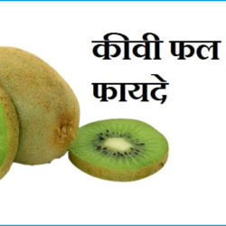 Kiwi Fruit In Hindi