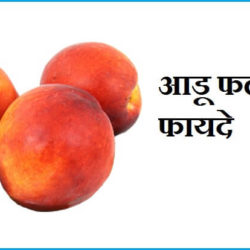Peach Fruit In Hindi