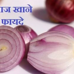 About Onion In Hindi