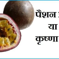 Passion Fruit In Hindi