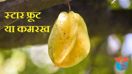 Kamrakh or Star Fruit In Hindi