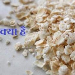 What Is Oats In Hindi
