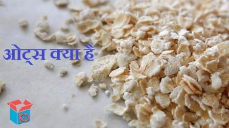 What Is Oats In Hindi