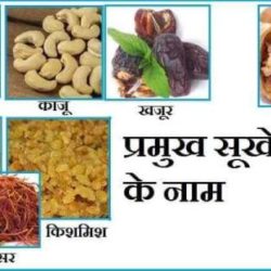 Name Of Dry Fruits In Hindi
