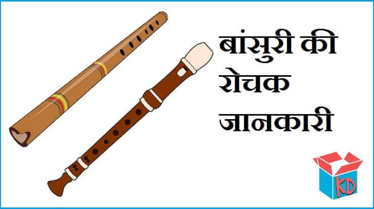 Information About Flute In Hindi