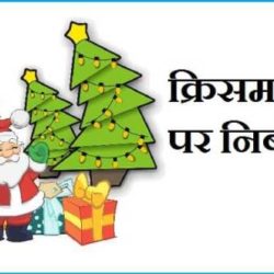 Essay On Christmas In Hindi
