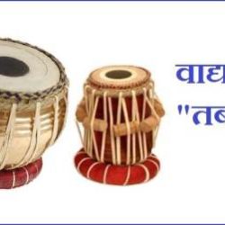 Information About Tabla In Hindi