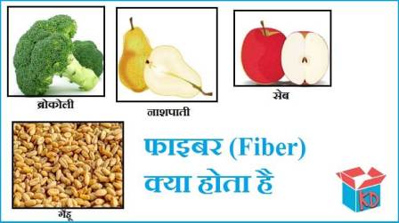 What Is Fiber In Hindi