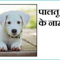 Dogs Name In Hindi