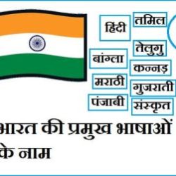 Indian Languages In Hindi