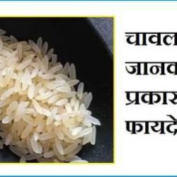 Information About Rice In Hindi