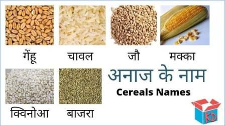 Cereals names in hindi and english